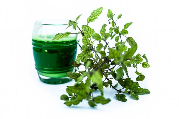 Mint Chlorophyll Liquid Mint Chlorophyll Liquid